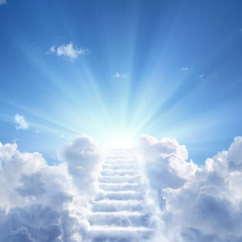 Heaven's Embrace community